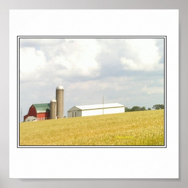 Póster Verano en el campo (Frente)
