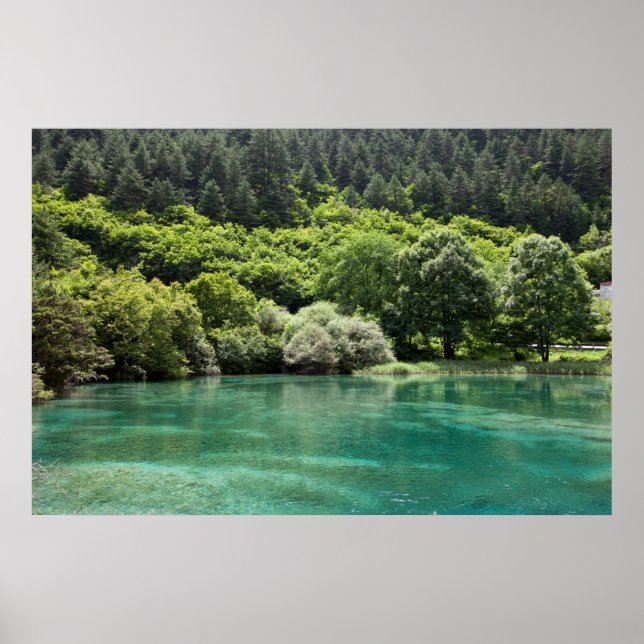 Póster Verano en el valle de Jiuzhaigou (Frente)