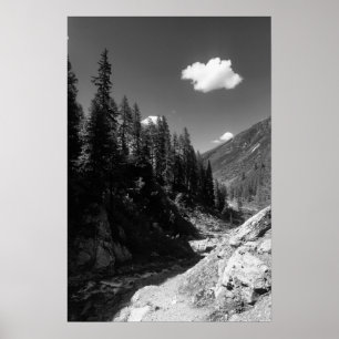 Póster Verano en Suiza Fotografía en blanco y negro