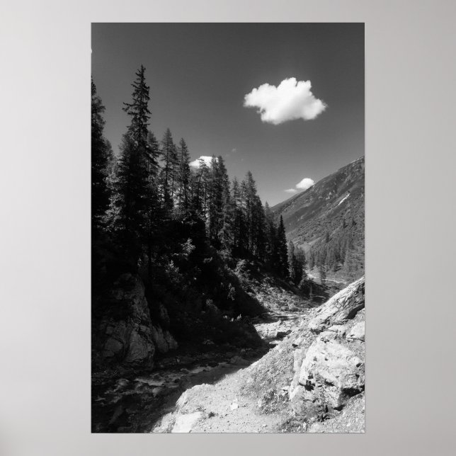 Póster Verano en Suiza Fotografía en blanco y negro (Frente)