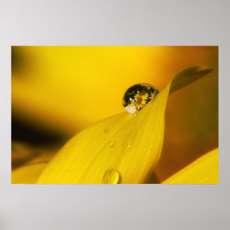 Póster Verano en una gota II.