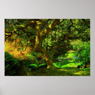 Póster Verano, Jardín Japonés de Portland, Portland
