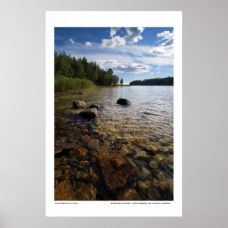 Póster Verano sin fin