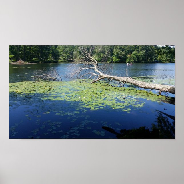 Póster verano soleado (Frente)