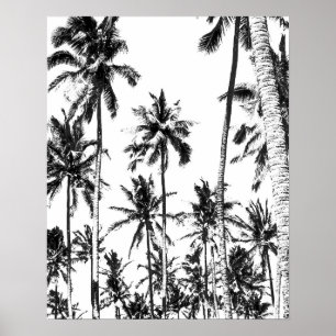 Póster Verano tropical de la palmera blanco y negro