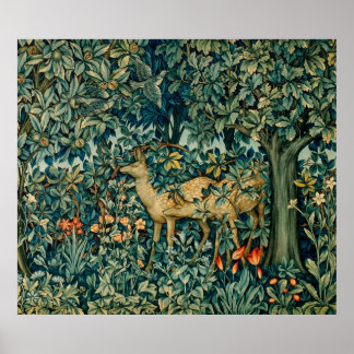 PÓSTER VERDAD, ANIMALES FORESTALES, HACES, PÁJAROS