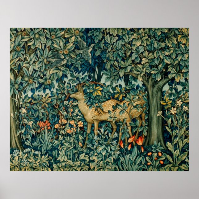 PÓSTER VERDAD, ANIMALES FORESTALES, HACES, PÁJAROS (Frente)