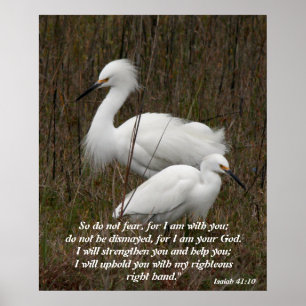 Póster Verdad cristiana del alcohol de la inspiración de