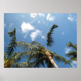 Póster Verdadera relajación