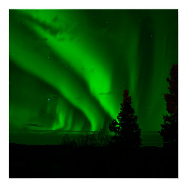 Póster verde aurora-boreal (Anverso)