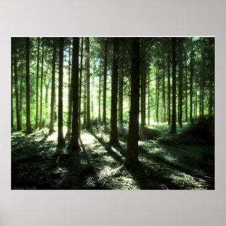 Póster Verde bosque