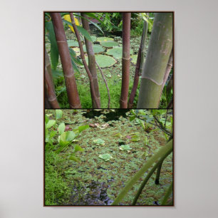 Póster verde en el agua