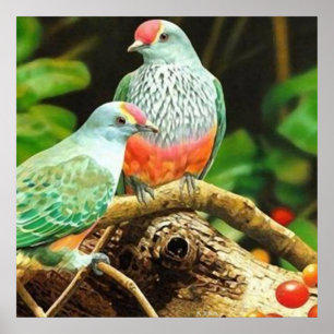 Póster Verde pájaro