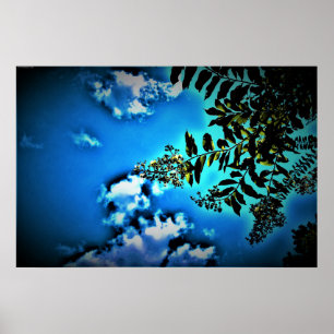 Póster Verde sobre azul,