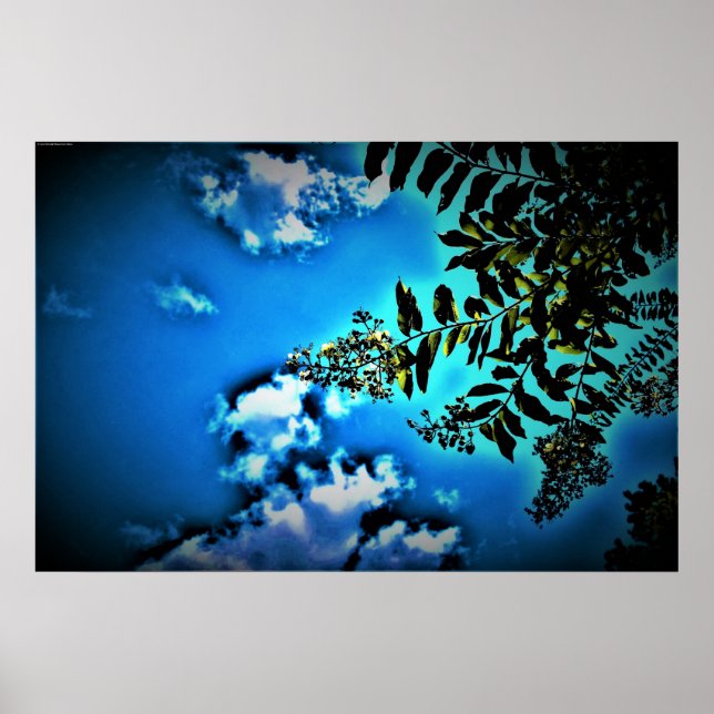 Póster Verde sobre azul, (Frente)