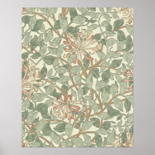 Póster Verde Suave Vintage William Morris Madreselva