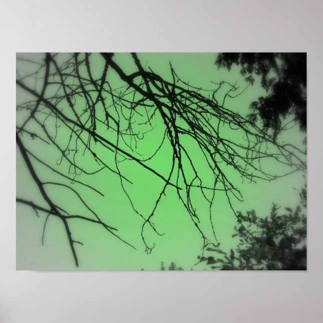 Póster Verde vivo (Frente)