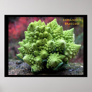 Póster Verdura del bróculi de Romanesco