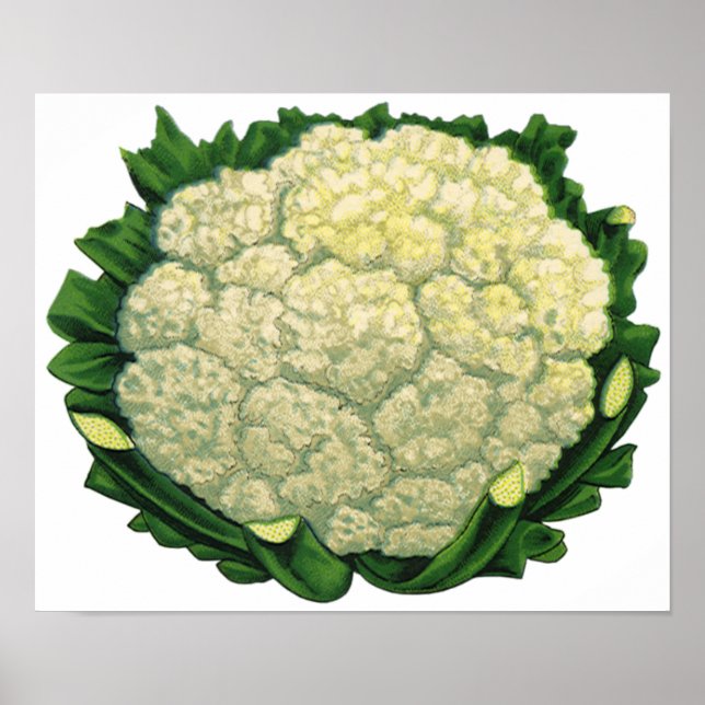 Póster Verduras De Comida Antiguas Verduras Coliflor (Frente)