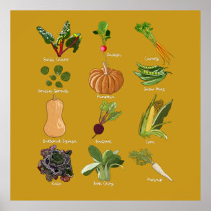 Póster Verduras de Otoño Cosecha de Verduras de Otoño