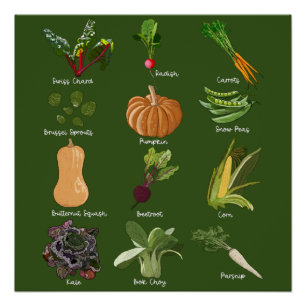 Póster Verduras de Otoño Cosecha de Verduras de Otoño