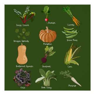 Póster Verduras de Otoño Cosecha de Verduras de Otoño