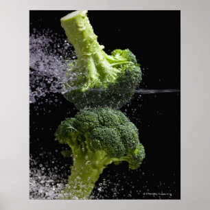 Póster Verduras frescas y higiene alimenticia