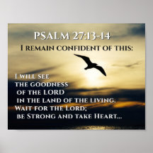 Veré la bondad del Señor Salmo 27:13-14