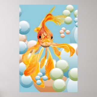Póster VerMillón De Peces De Oro En El Agua Pastel De Bur