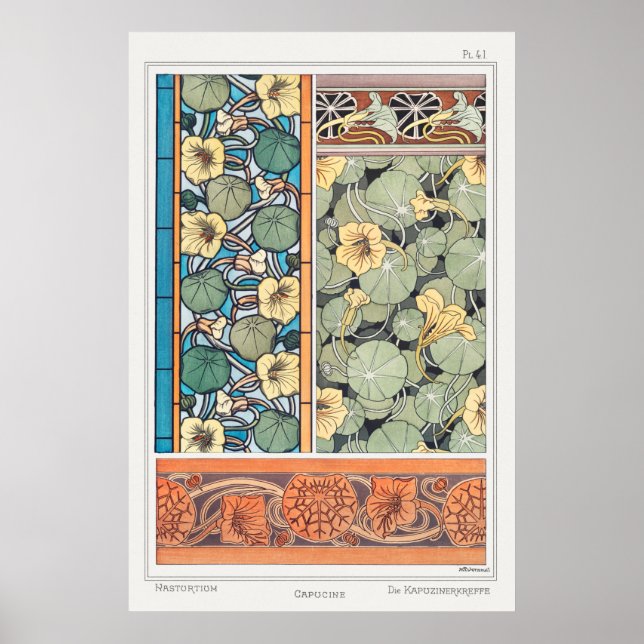 Póster Verneuil, Capucina, Planta, Estilo Vintage (Frente)