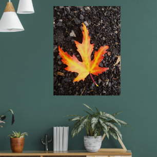 Póster Versión de la imagen en Fall Leaf Bright. Restiq.