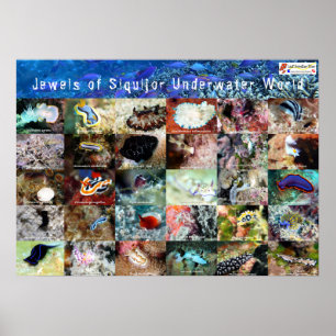 Póster Versión en inglés: Joyas de Under Water Siquijor
