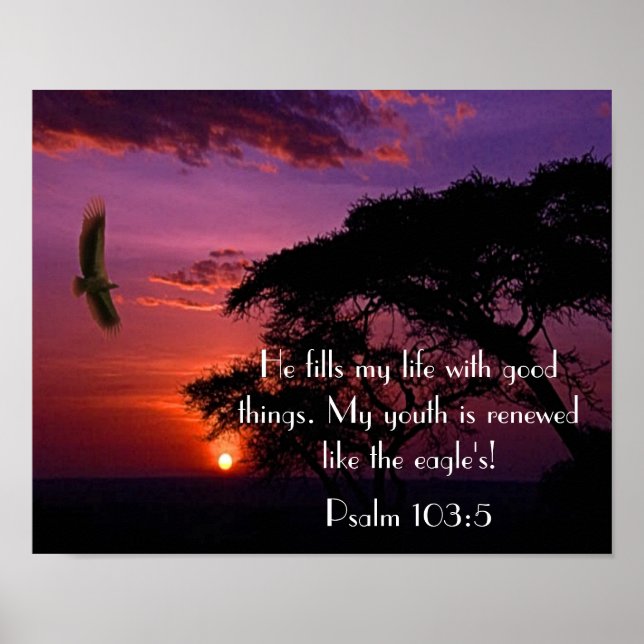 Póster verso biblia Salmo 103:5 puesta de sol y águila