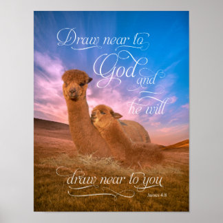Póster Verso de la Biblia de Alpaca se acerca a Dios Post