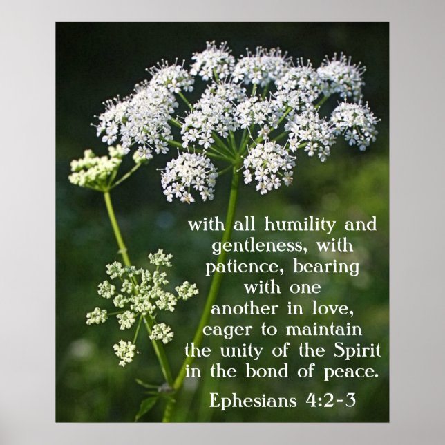 Póster Verso de la Biblia sobre los efesios del amor 4:2- (Frente)