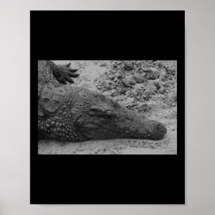 Póster Vertical De España Blanco Y Negro De Snapch Croc