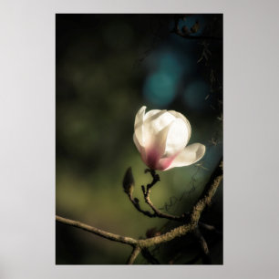 Póster Vertical magnolia