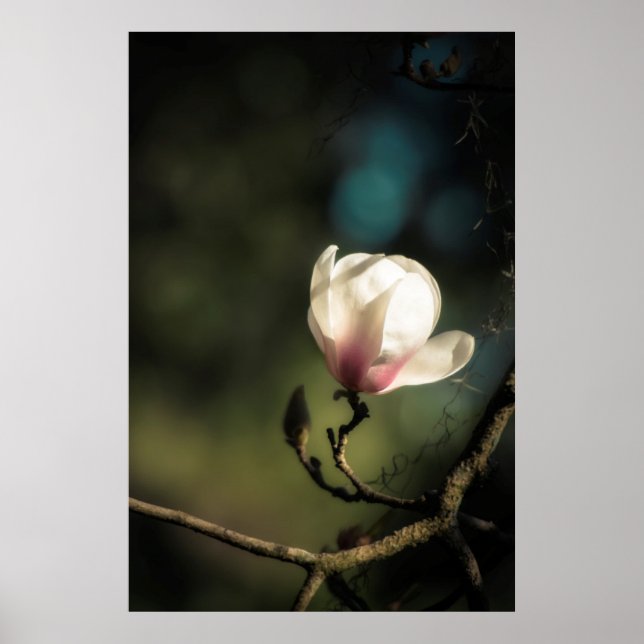 Póster Vertical magnolia (Frente)