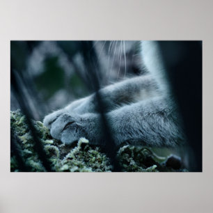 Póster Vestido de terciopelo