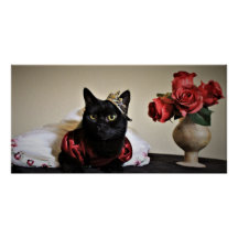 Vestido para la pelota