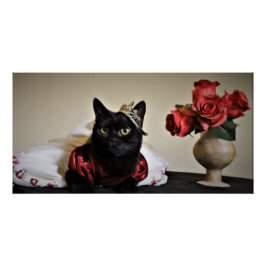 Póster Vestido para la pelota