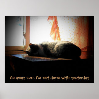 Póster Vete Sol - Gato Durmiendo