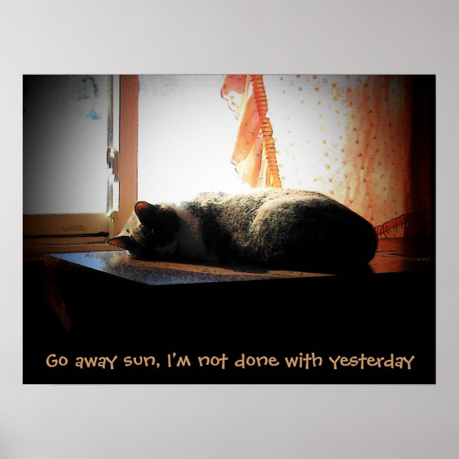 Póster Vete Sol - Gato Durmiendo (Frente)