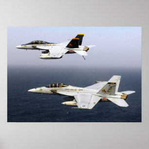 Póster VF-32 espada F-14