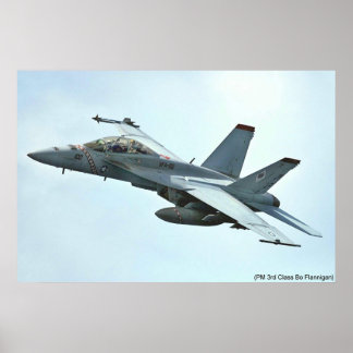 PÓSTER VFA-102