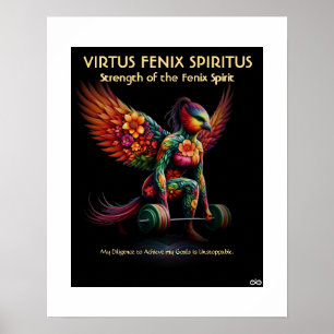 PÓSTER VFS-22P - POSTER