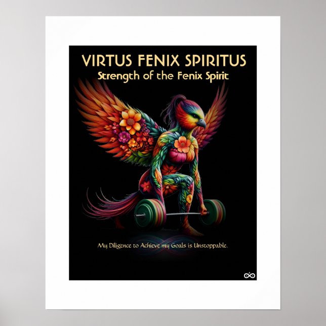 PÓSTER VFS-22P - POSTER (Frente)