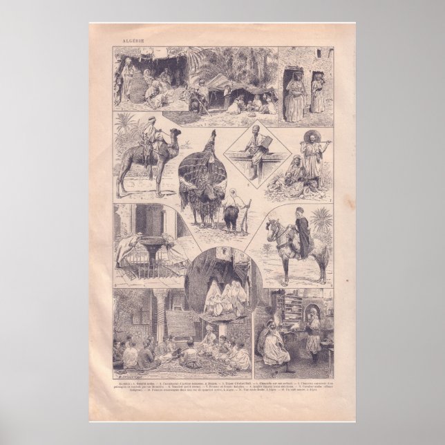 Póster VI.ᵉʳ histórico 1920 Argelia (Frente)