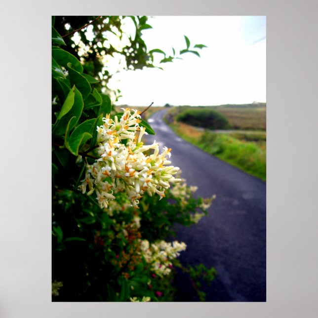 Póster Vía Floral (Frente)