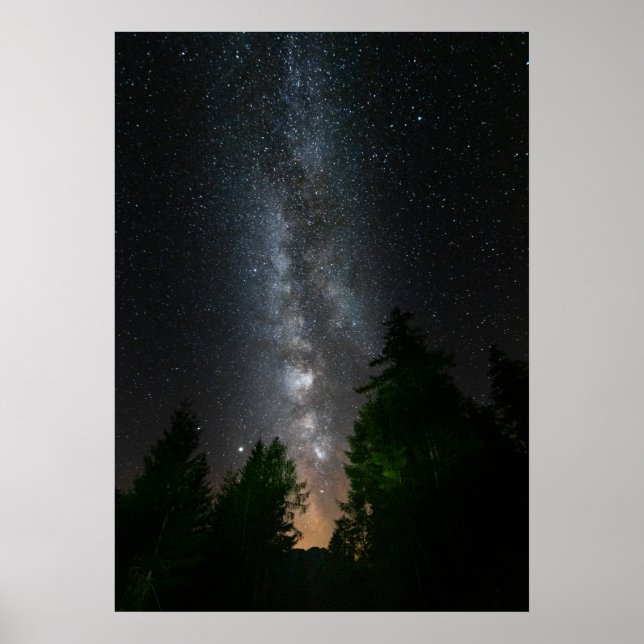 Póster Vía láctea sobre bosque de abetos (Frente)
